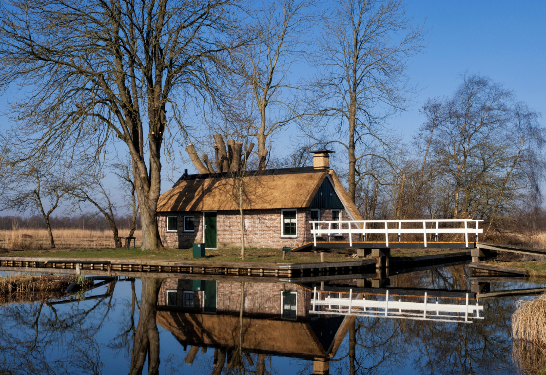 Wandelen Weerribben - Ossenzijl - De Weerribberhof - Giethoorn
